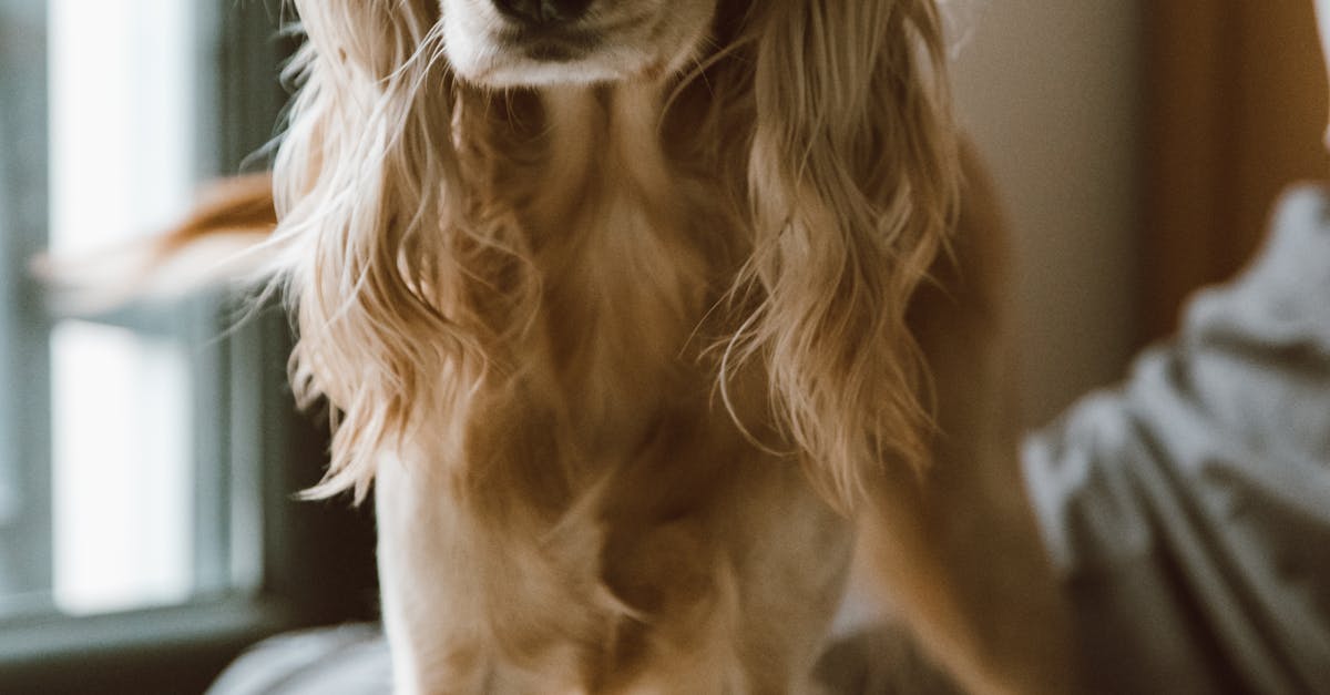 Can you fix a leaking shower without removing tiles?