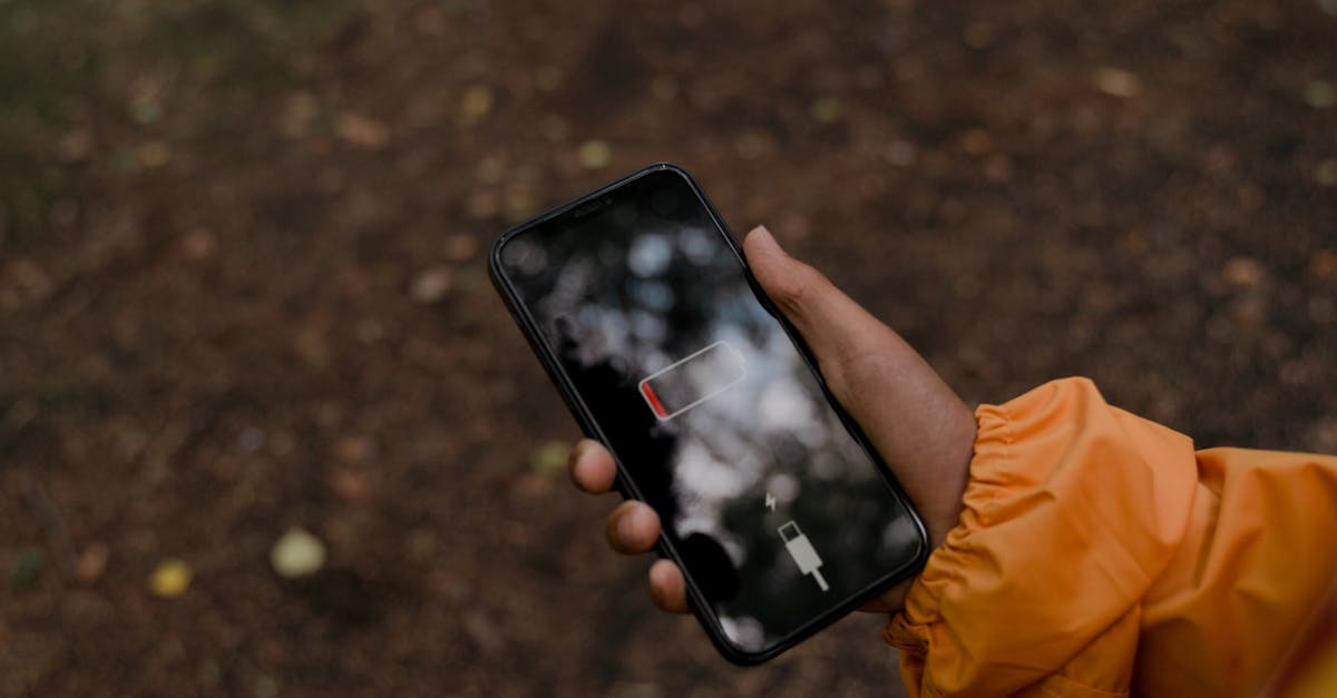 Condell Park, Bankstown