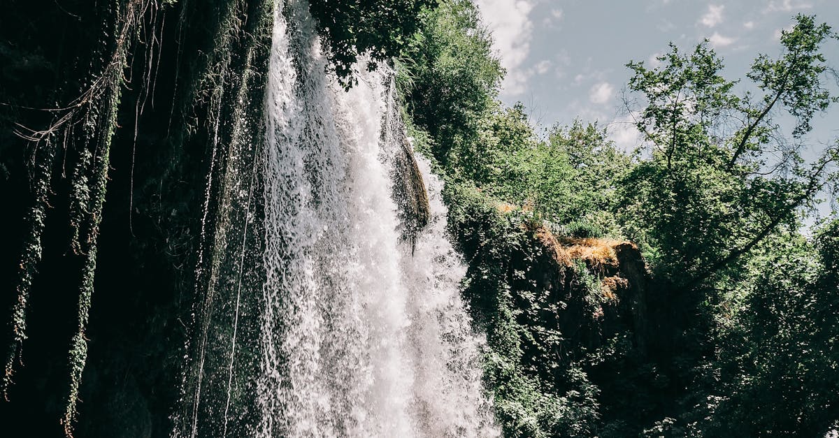 How much to replace a heating element in a shower?