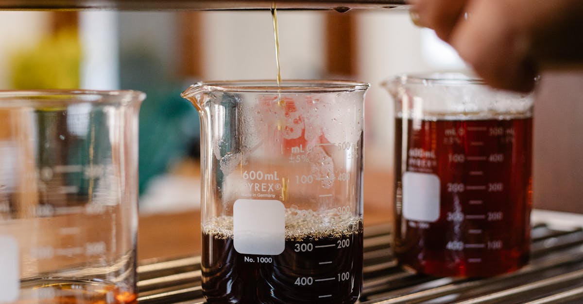 What is the $1000 energy rebate in Victoria?